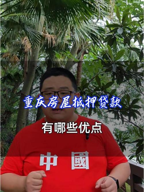 如何选择重庆南岸房屋抵押贷款方案(如何选择重庆南岸房屋抵押贷款方案的公司)